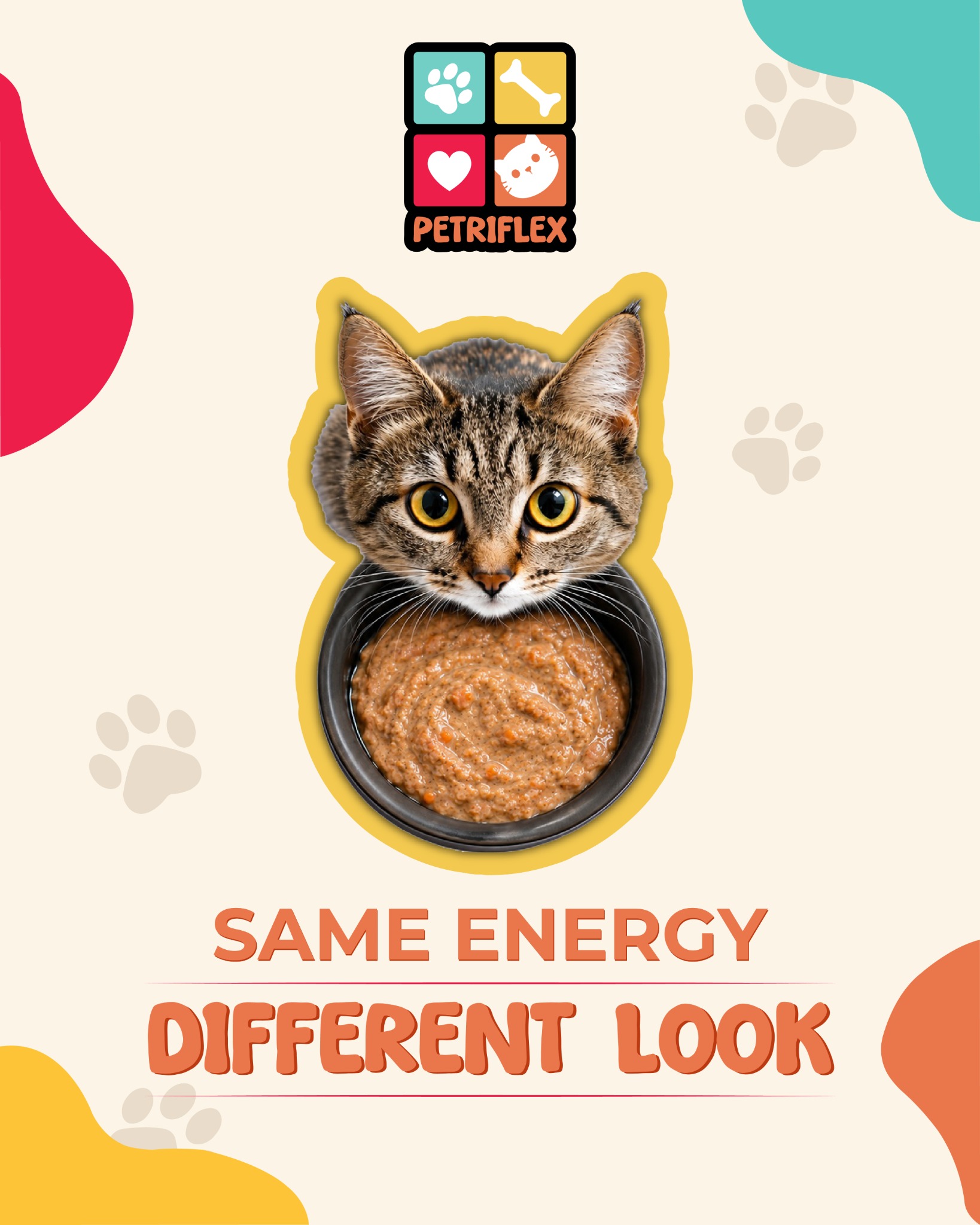 PETRIFLEX new look social post